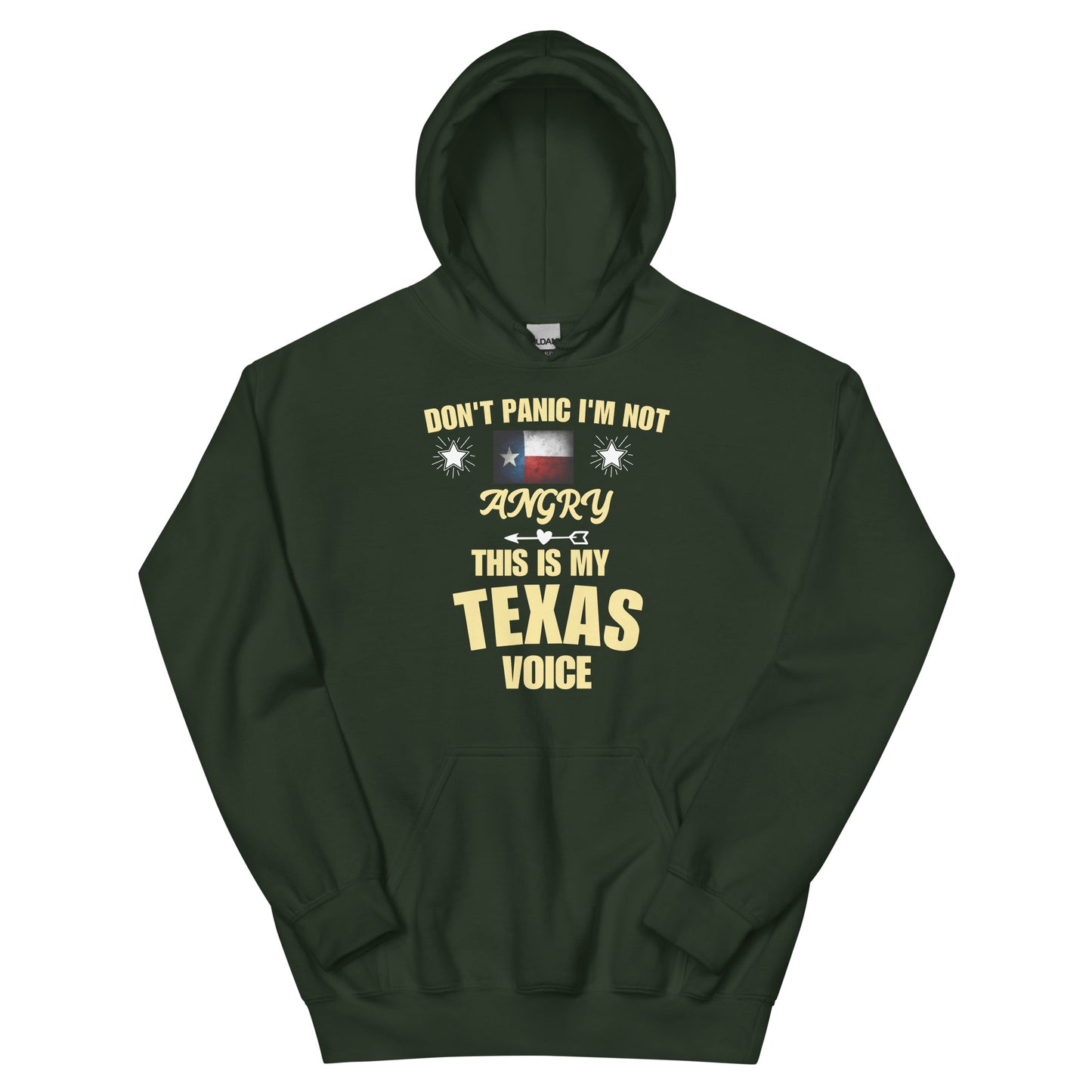 This Is My Texas Voice Hoodie - Texy Pride