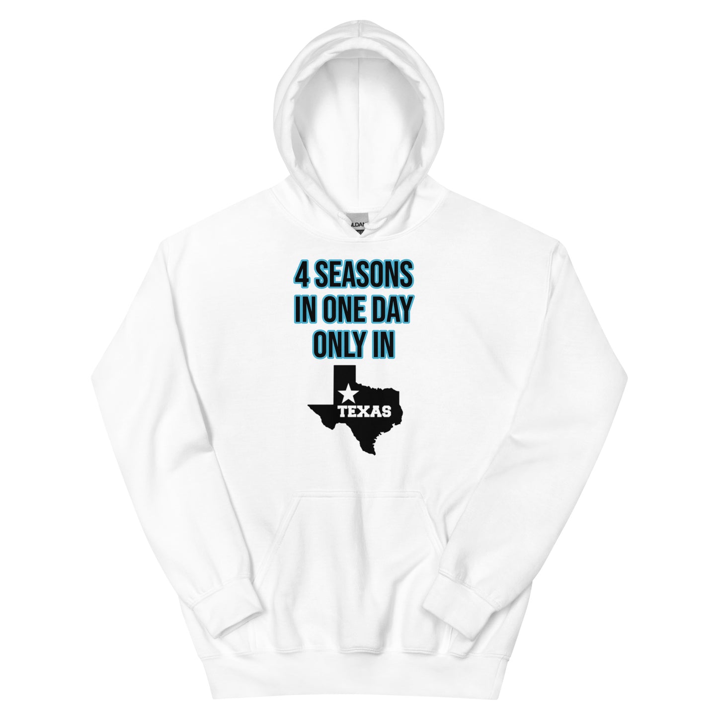 4 Seasons In Texas Hoodie - Texy Pride