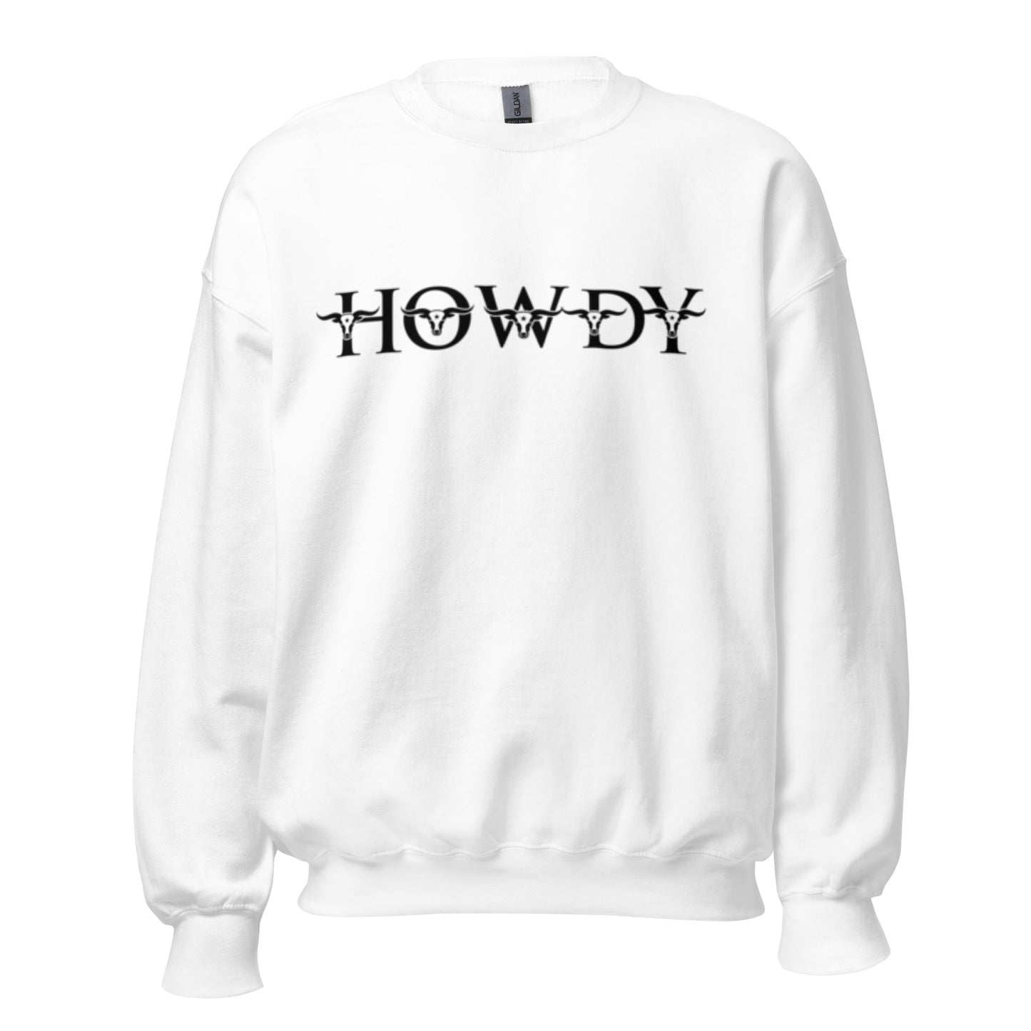 Longhorns Howdy Sweatshirt