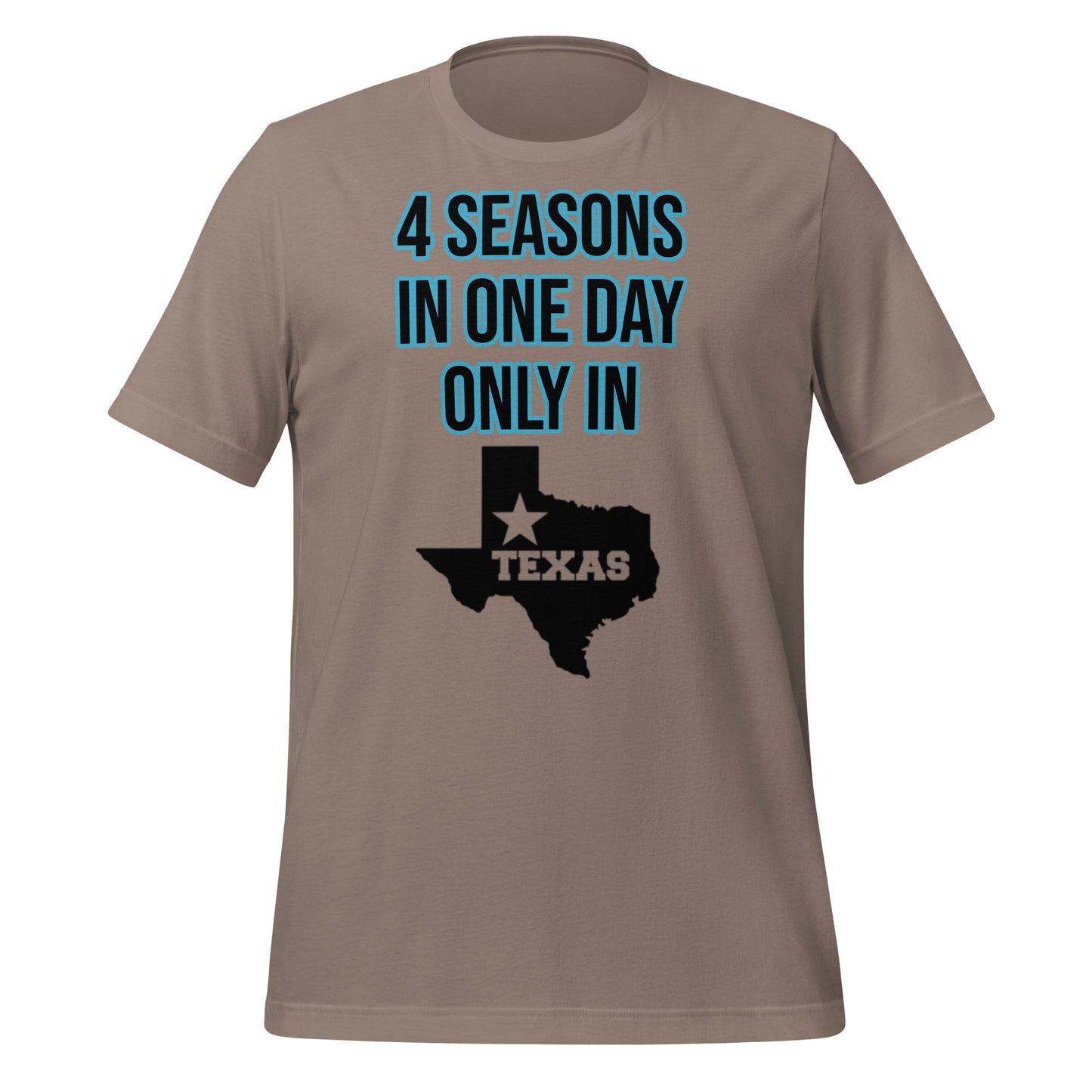 4 Seasons In Texas T-Shirt - Texy Pride